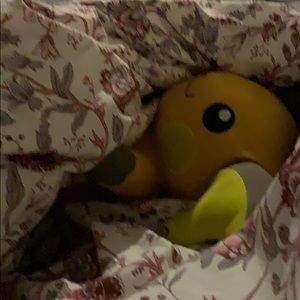 Meet your Posher, Chickita